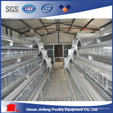 Q235 Steel Wire Chicken Egg Layer Cage con tubería de agua